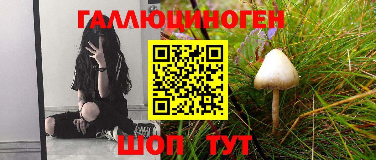 Псилоцибиновые грибы Magic Shrooms Советская Гавань
