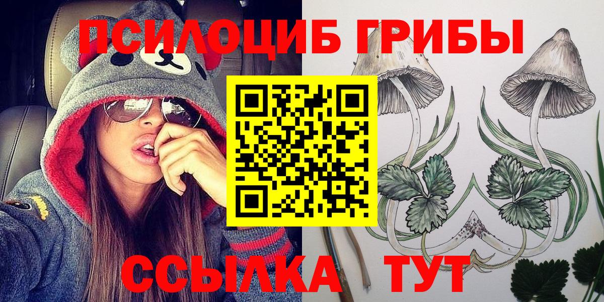 Галлюциногенные грибы прущие грибы  купить  сайты  Советская Гавань  Псилоцибиновые грибы GOLDEN TEACHER  Вход с VPN 